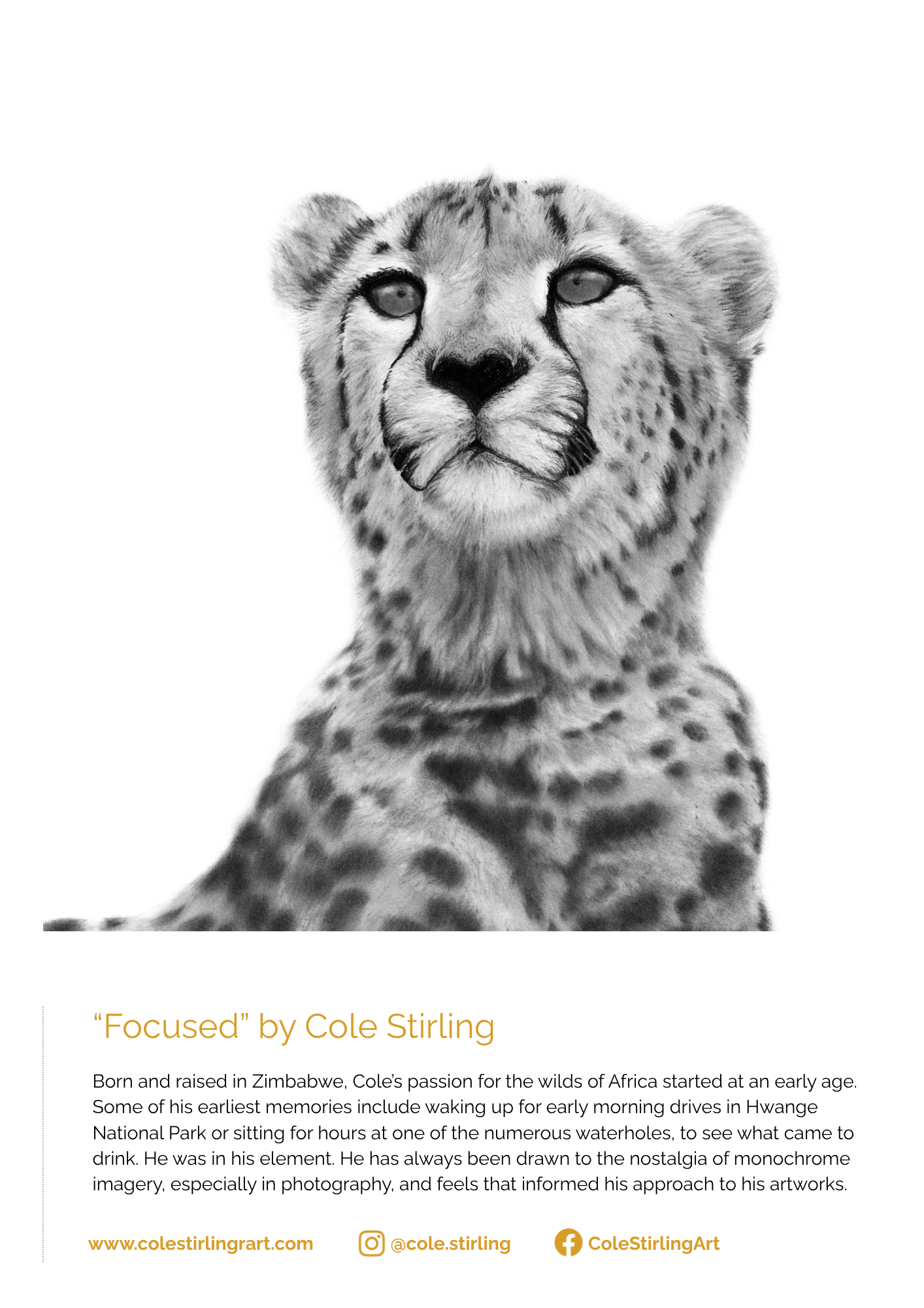 CCF UK 2026 Art Calendar