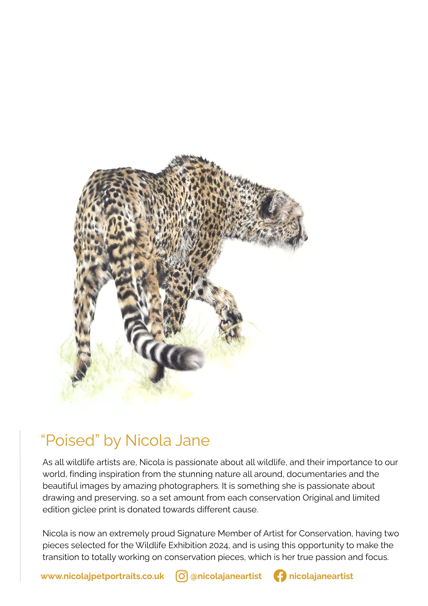 CCF UK 2026 Art Calendar