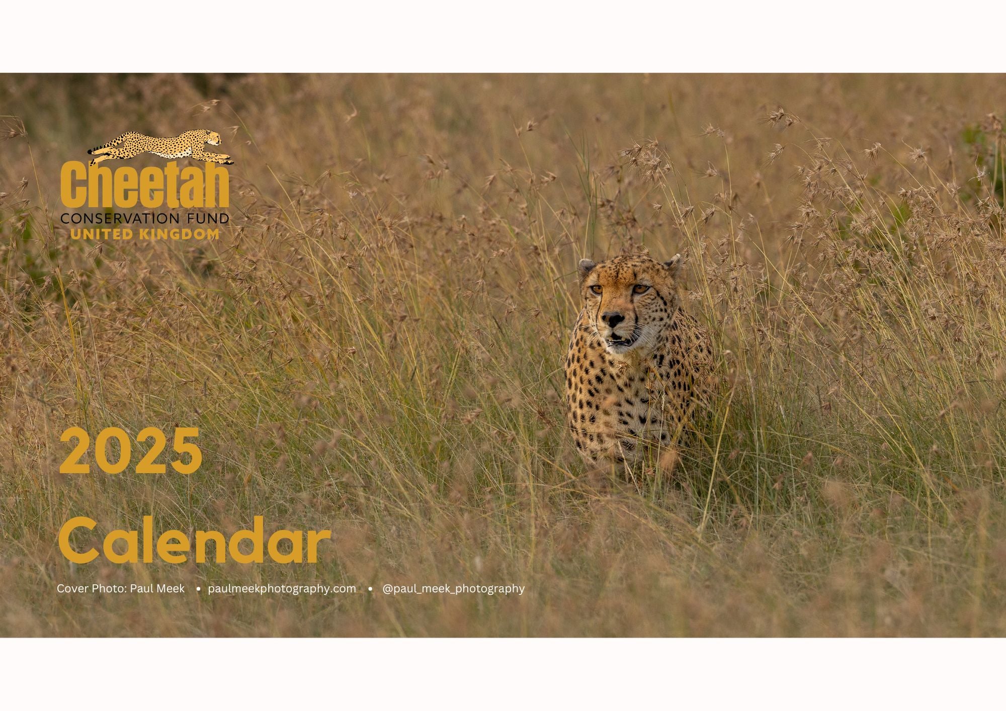 CCF UK Calendar 2025 Cheetah Conservation Fund