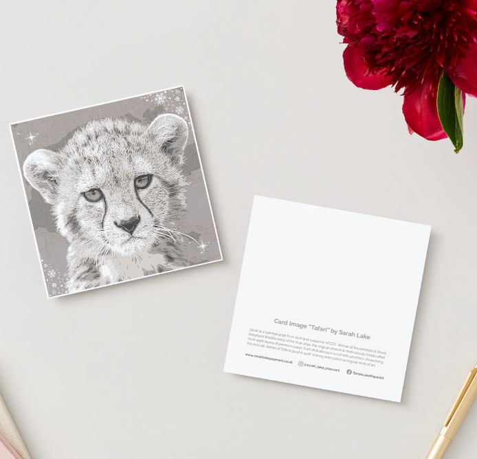 10 Pack - Sarah Lake Tafari Christmas Cards